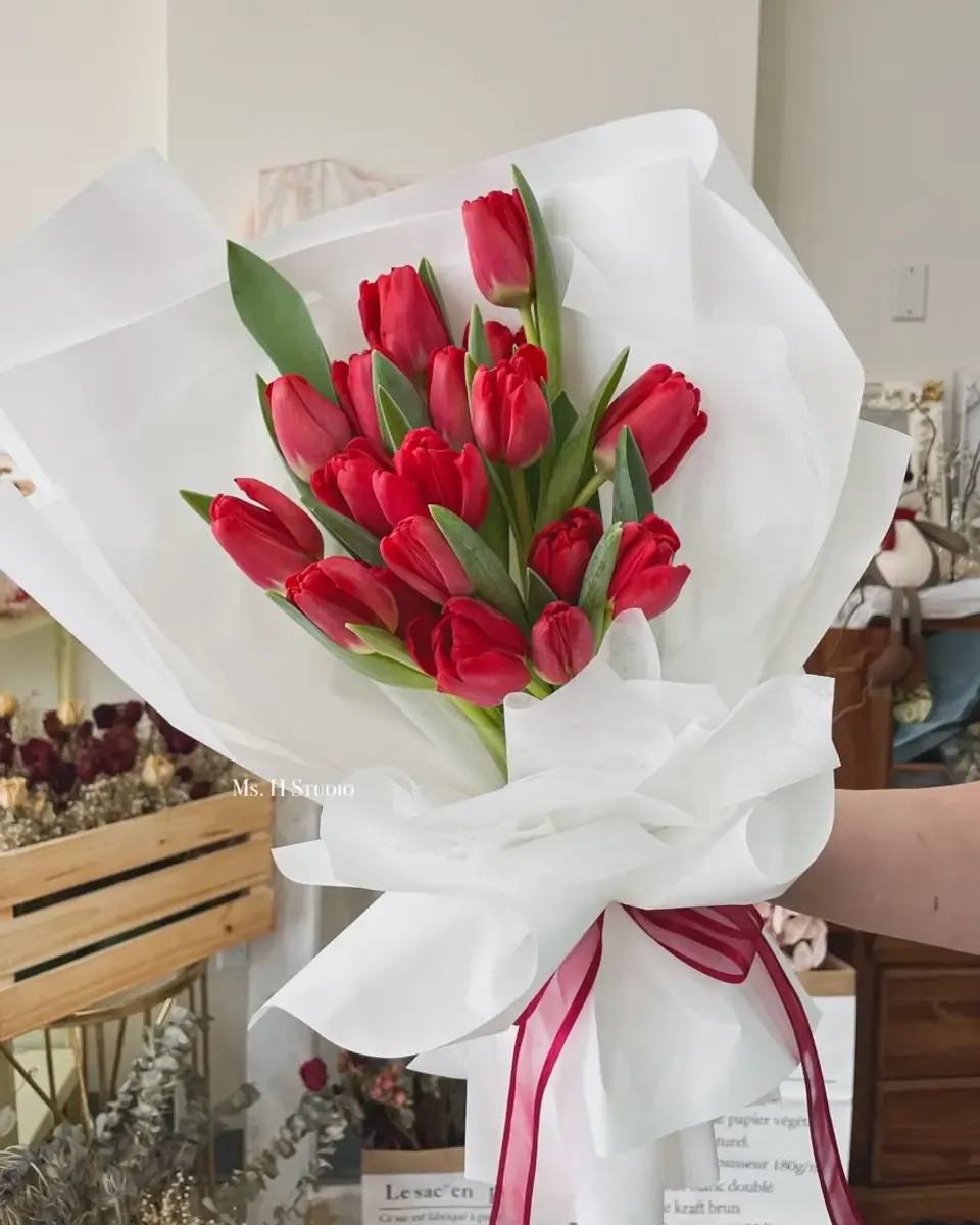 Bó tulip đỏ gói giấy trắng buộc ruy băng đỏ sẫm, cầm trước nền sáng