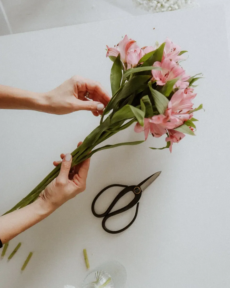 Bàn tay cầm bó hoa alstroemeria hồng, kéo cắt cành đặt bên cạnh trên nền trắng