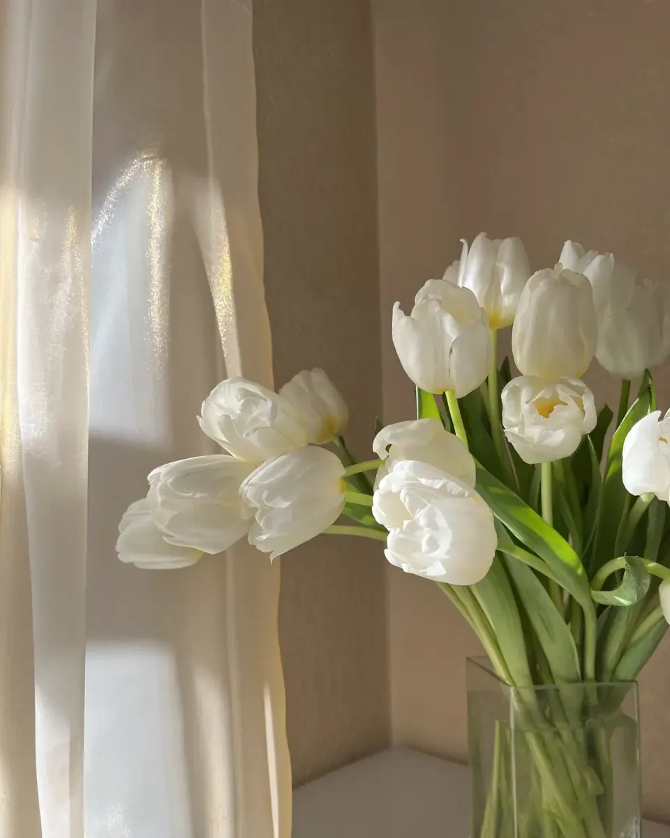 Tulip trắng cắm trong bình thủy tinh bên rèm voan sáng