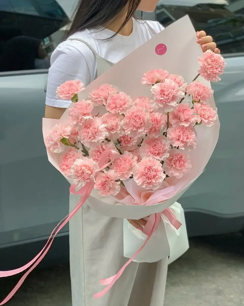 Bó cẩm chướng hồng gói giấy hồng nhạt, ruy băng hồng dài, cầm trước nền xám