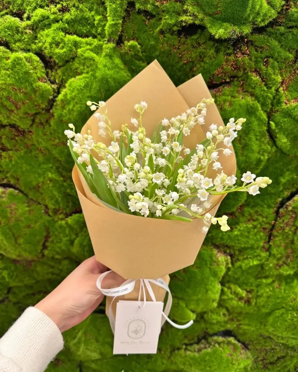 Bó linh lan trắng gói giấy kraft hình nón, một tay cầm trên nền rêu xanh