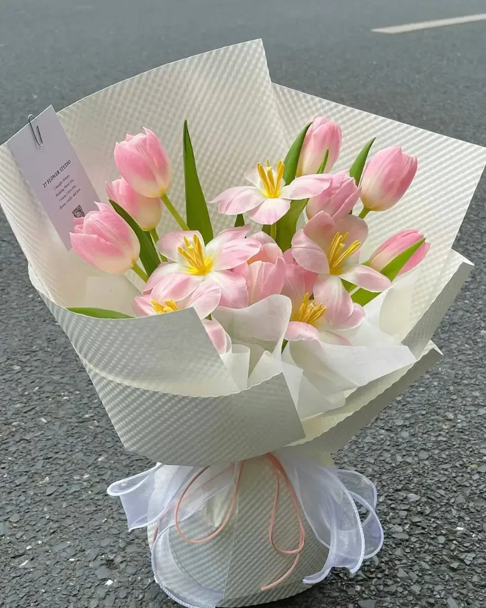 Bó tulip hồng gói giấy trắng buộc ruy băng kem trong tay người cầm