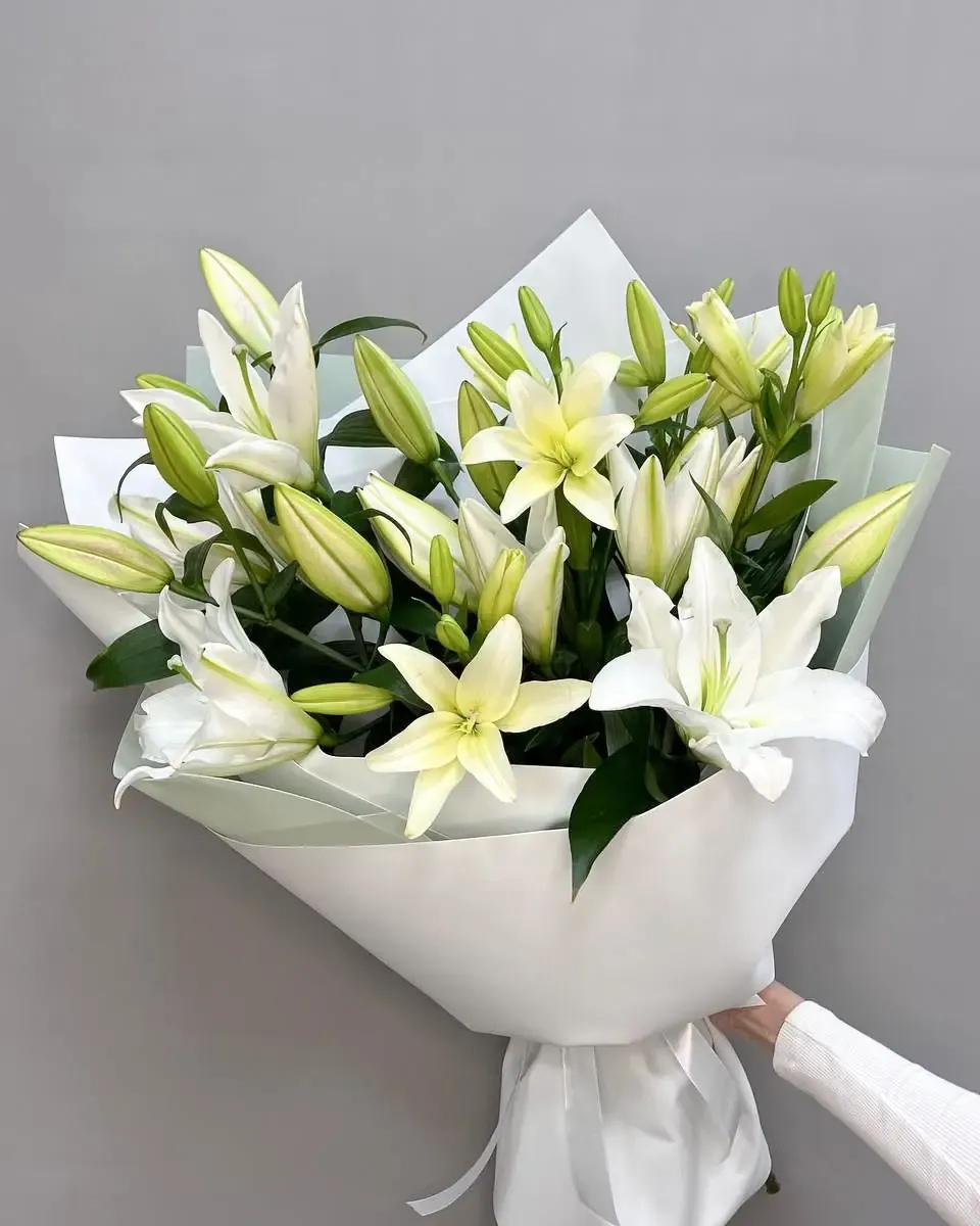 Bó hoa ly trắng và nụ xanh gói giấy trắng mờ, một bàn tay cầm trước nền xám