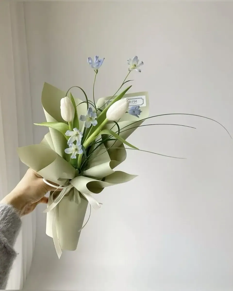Bó tulip trắng cùng hoa xanh nhạt gói giấy xanh sage, một tay cầm trước tường sáng