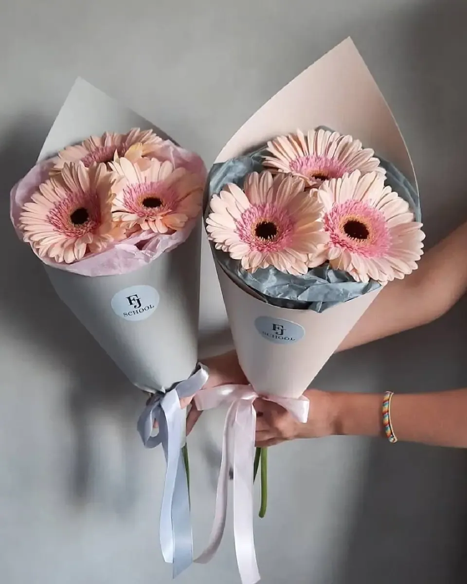 Hai bó hoa đồng tiền hồng nhỏ gói giấy xám xanh và giấy hồng, buộc ruy băng mềm