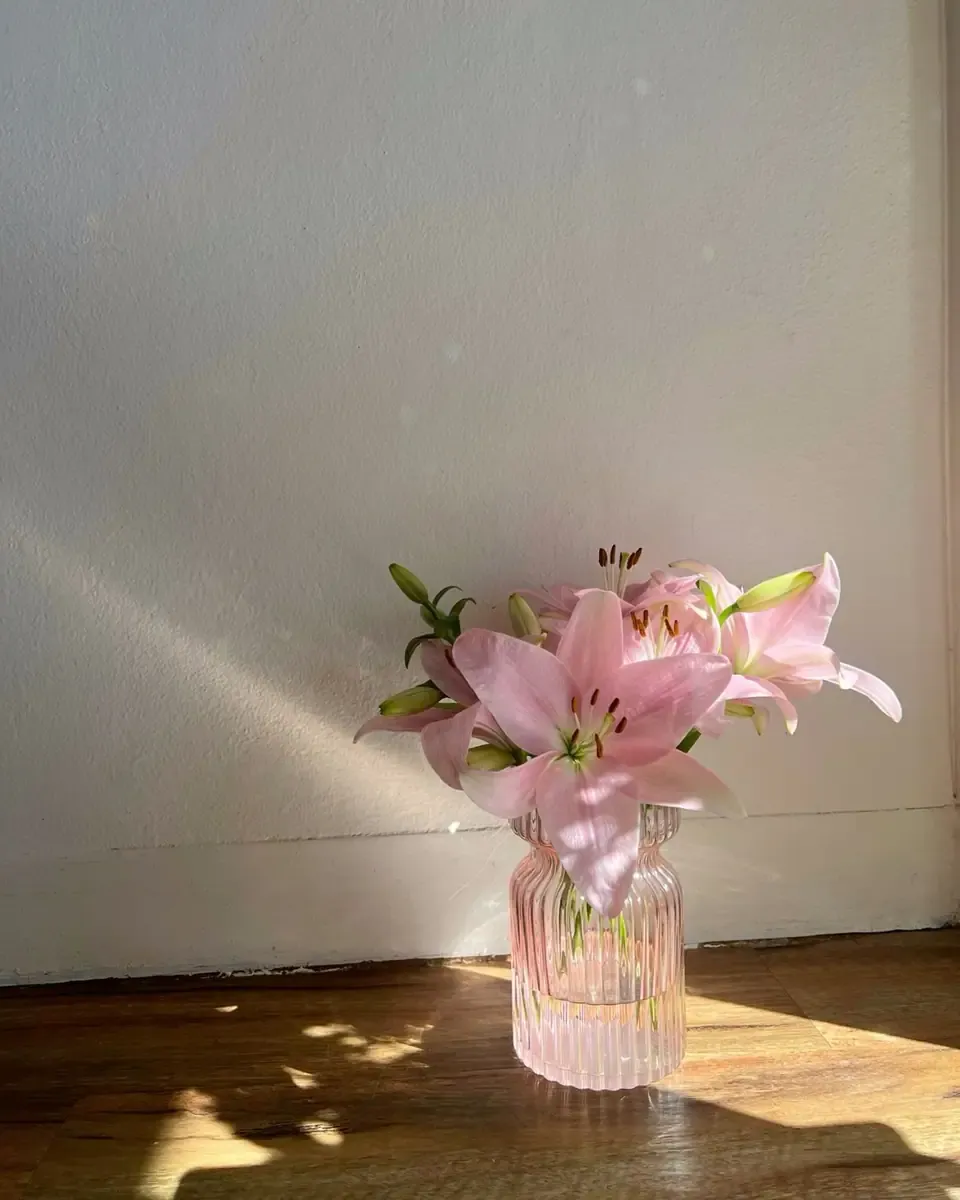 Vài cành lily hồng trong bình thủy tinh nhỏ màu hồng, nắng đổ xuống sàn gỗ