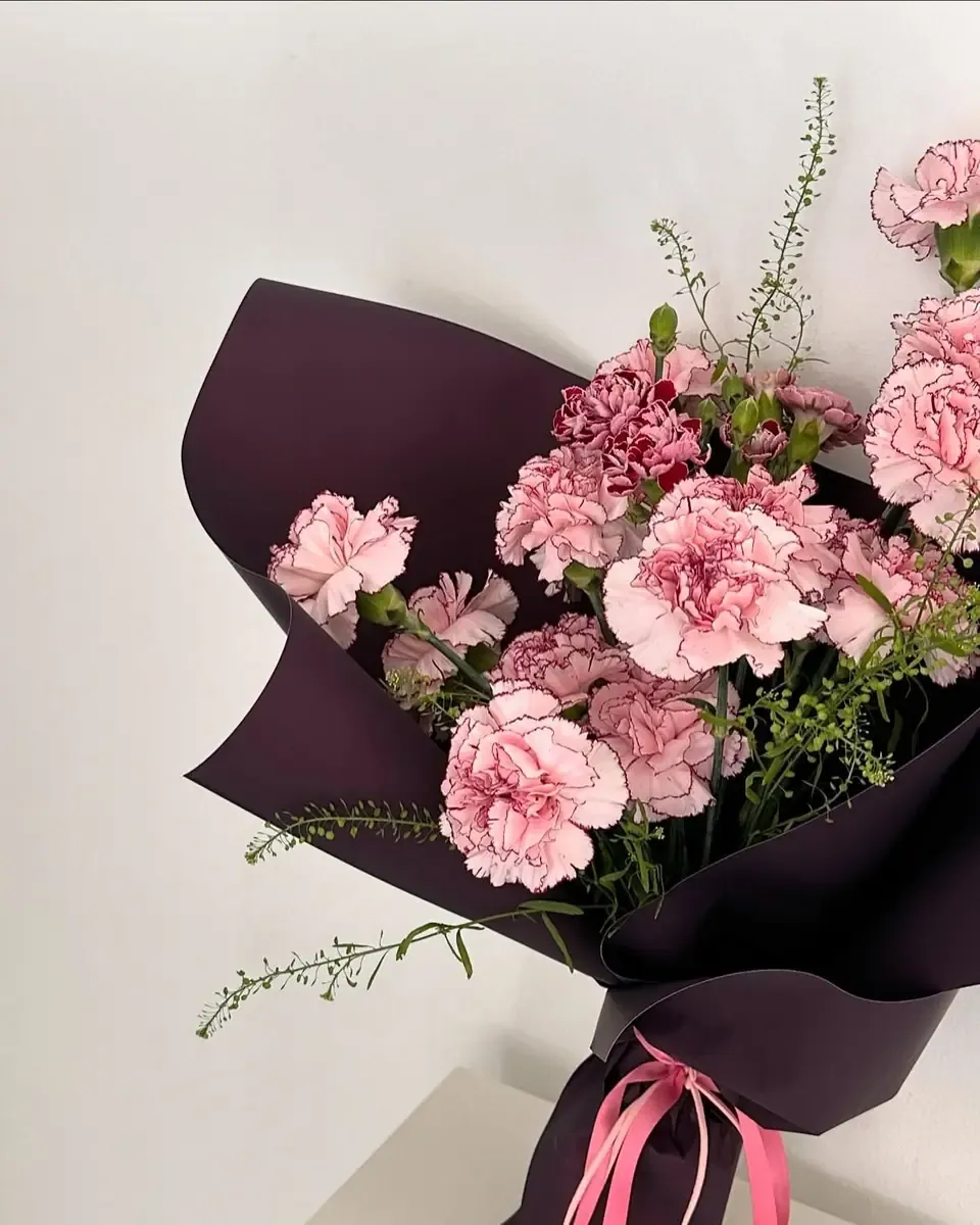 Bó cẩm chướng hồng gói giấy tím đậm, buộc ruy băng hồng, cầm nghiêng trước nền tường sáng