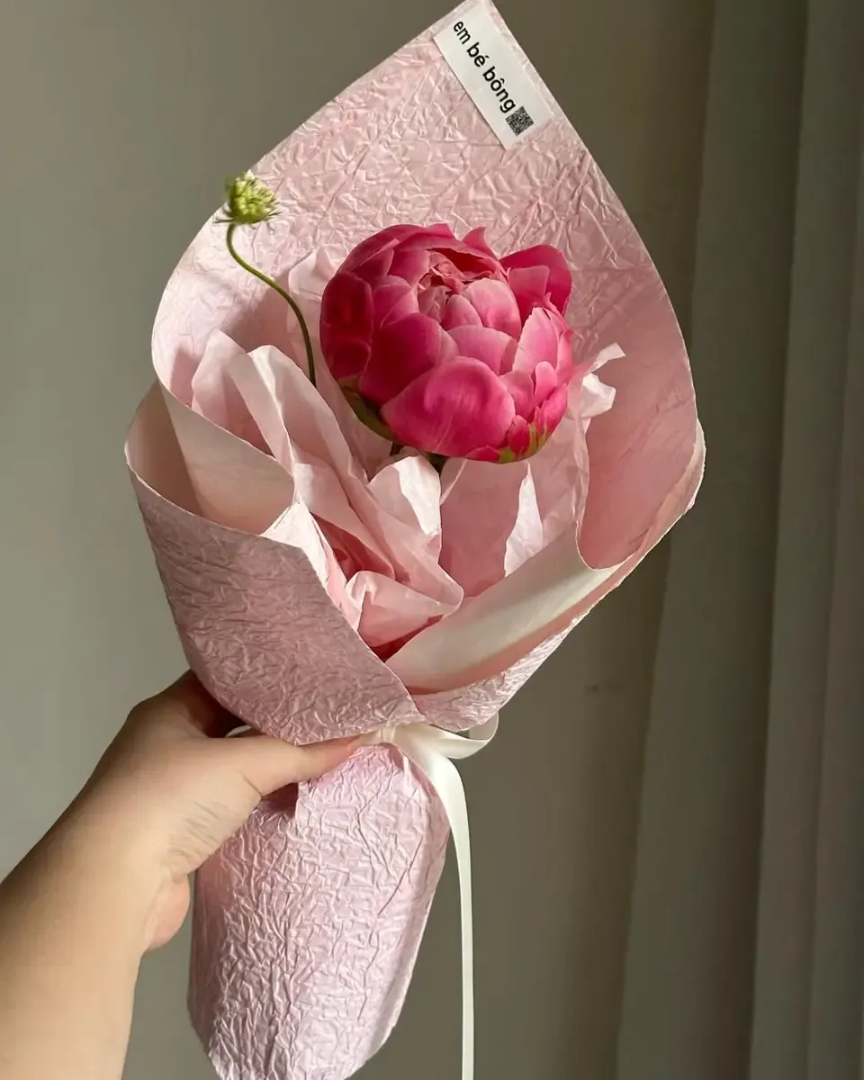 Một bông mẫu đơn hồng đậm gói trong giấy hồng nhạt nhàu, cầm trên tay