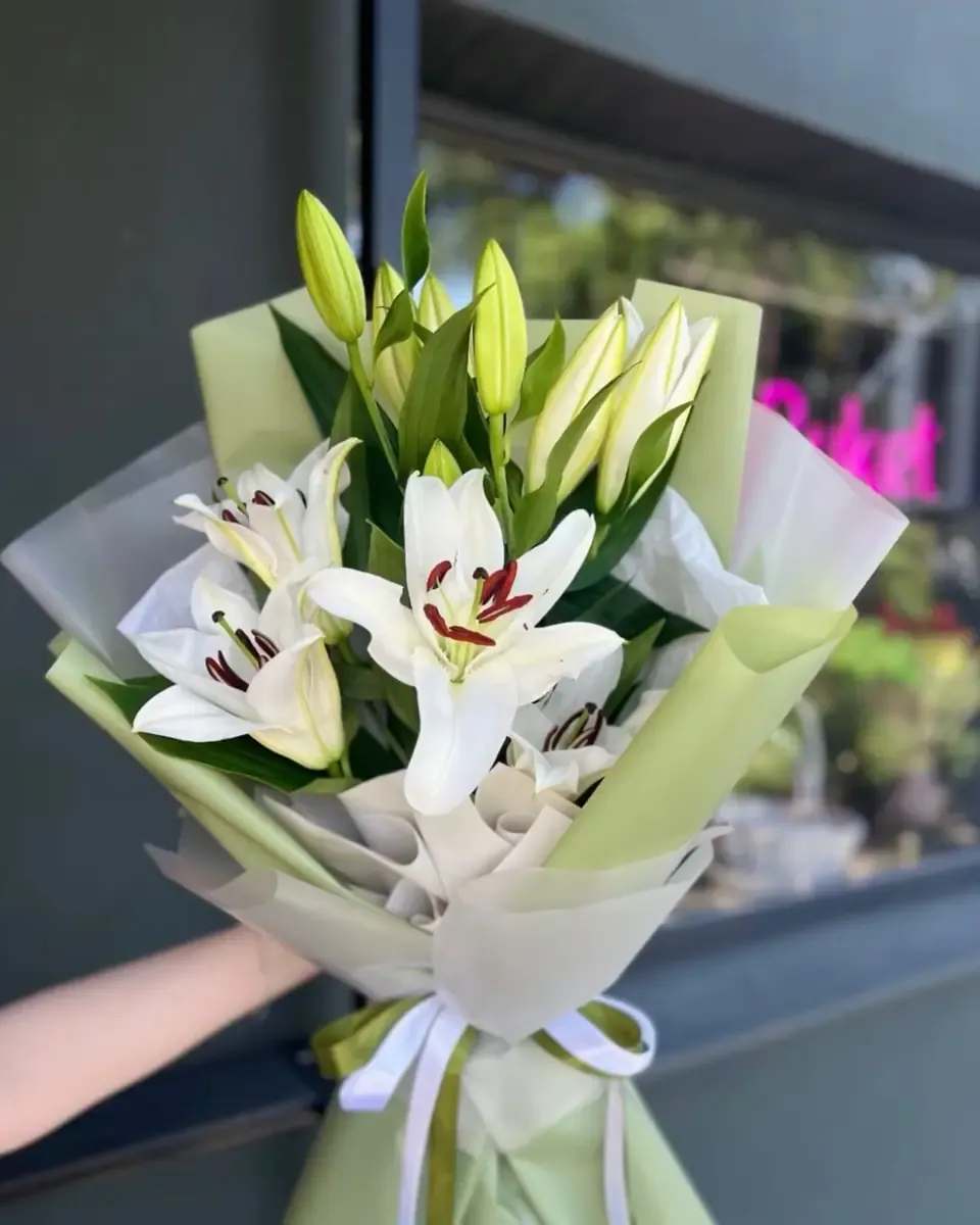 Bó ly trắng gói giấy xanh bạc hà nhạt và ruy băng trắng, bàn tay cầm trước cửa kính