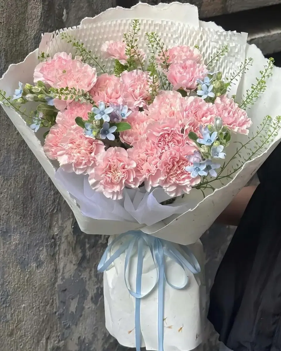 Bó cẩm chướng hồng xen hoa xanh nhỏ gói giấy trắng, buộc ruy băng xanh nhạt