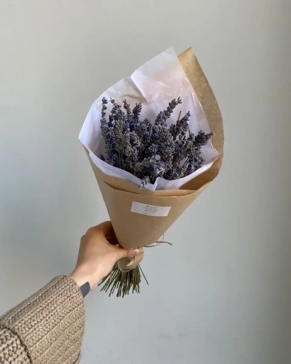 Bó oải hương nhỏ gói giấy kraft và giấy trắng, một tay cầm trước nền tường sáng