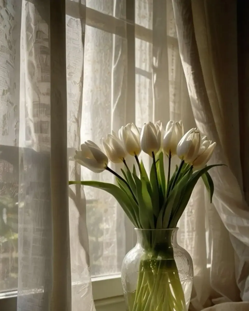 Tulip trắng trong bình thủy tinh cao bên cửa sổ rèm mỏng