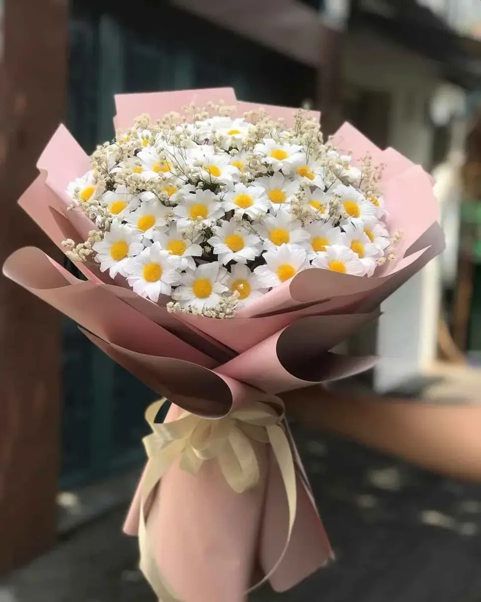 Bó hoa cúc họa mi trắng gói giấy hồng phấn, ruy băng màu kem, cầm tay ngoài trời