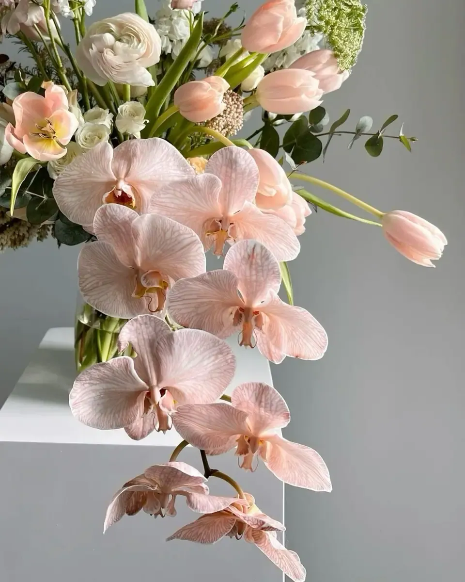 Cành lan hồ điệp hồng phớt đào xen tulip hồng, thân dài cong mềm mại