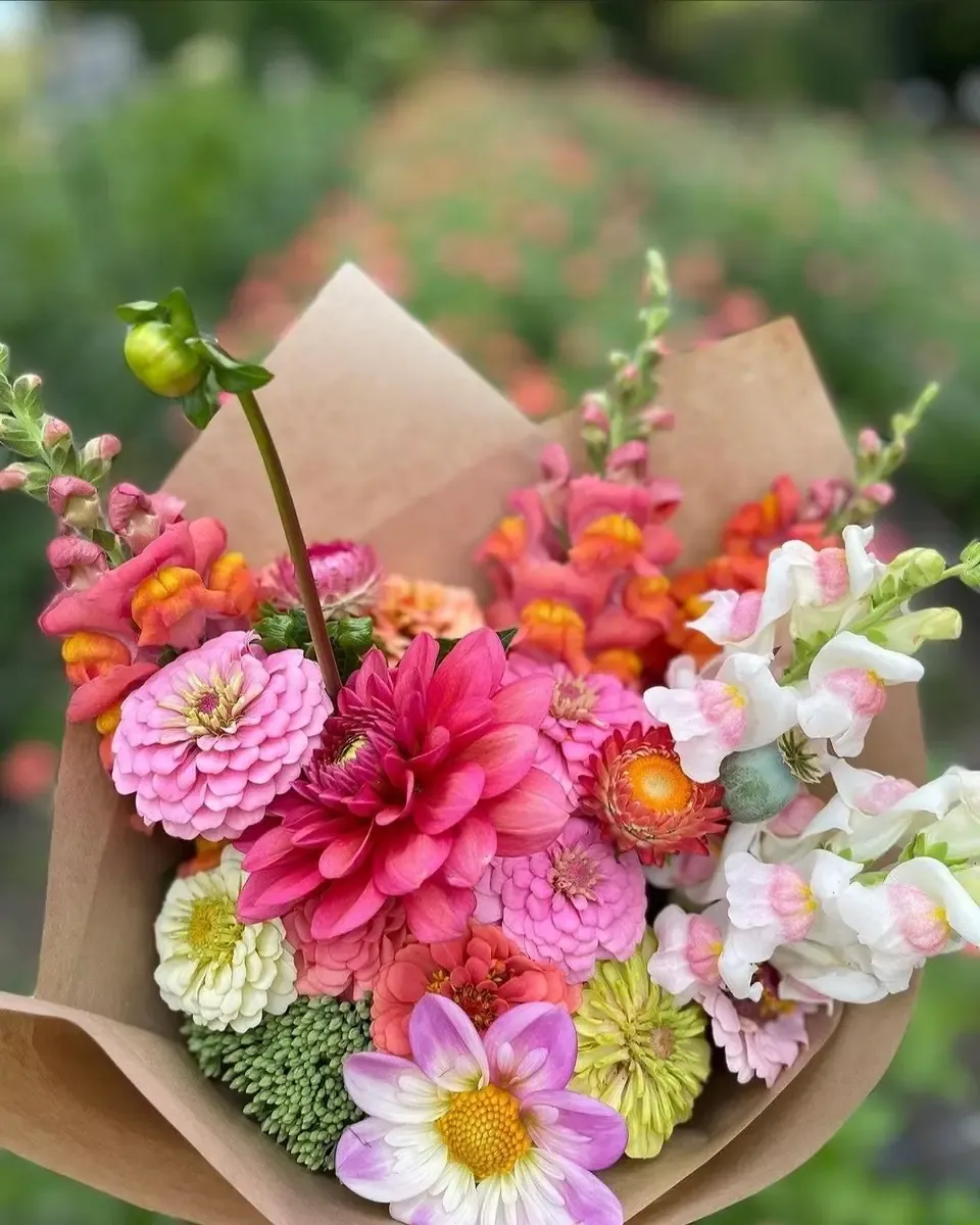 Bó hoa thược dược hồng, cúc zinnia và hoa mõm sói gói giấy kraft nâu và giấy trắng
