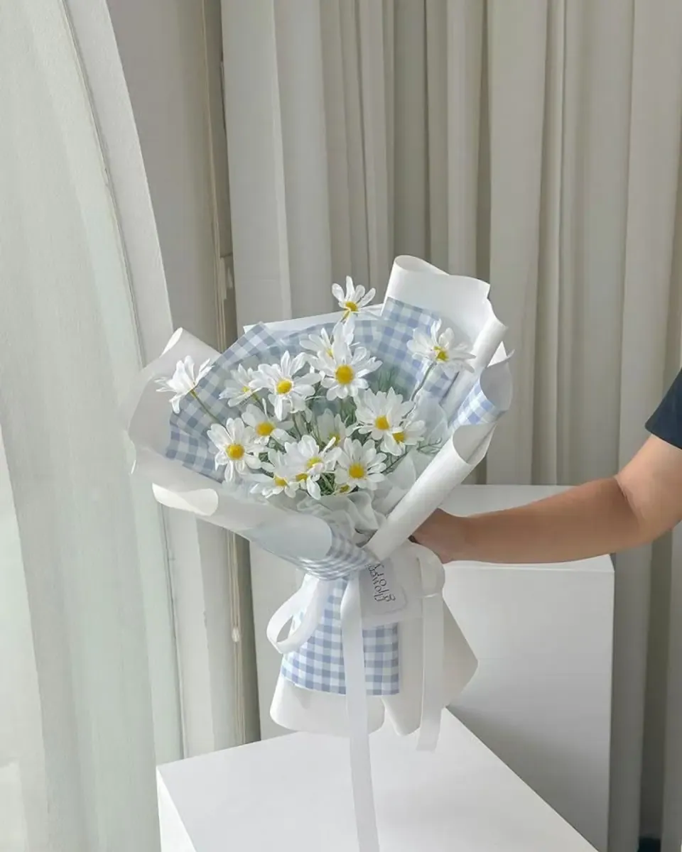 Bó cúc họa mi gói giấy trắng và vải kẻ xanh, được cầm trên bàn tay