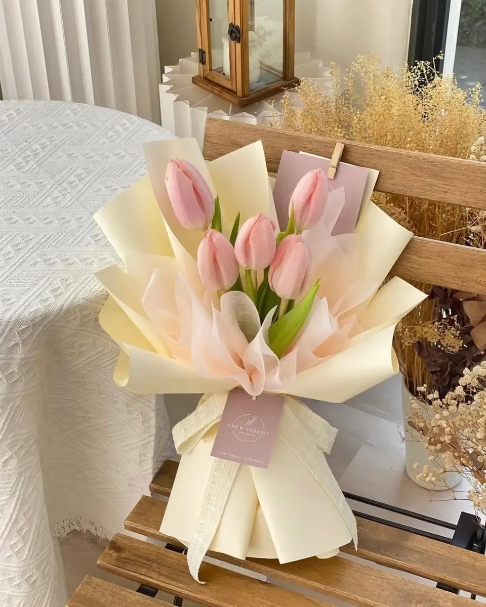 Bó tulip hồng nhỏ gói giấy kem xếp lớp, đặt trên ghế gỗ