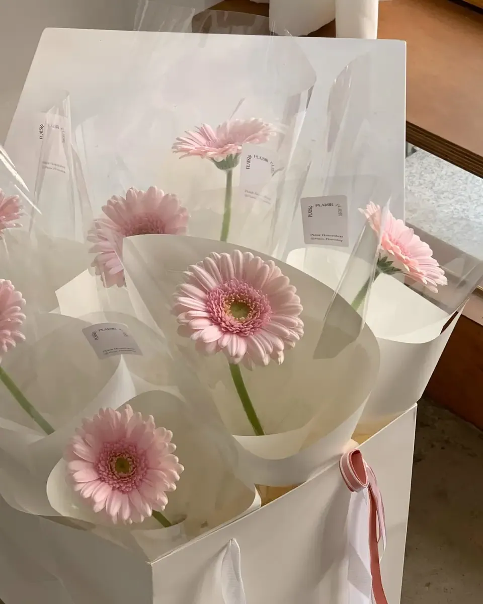 Mấy cành hoa đồng tiền hồng gói riêng trong giấy trong suốt, đặt trong túi giấy trắng