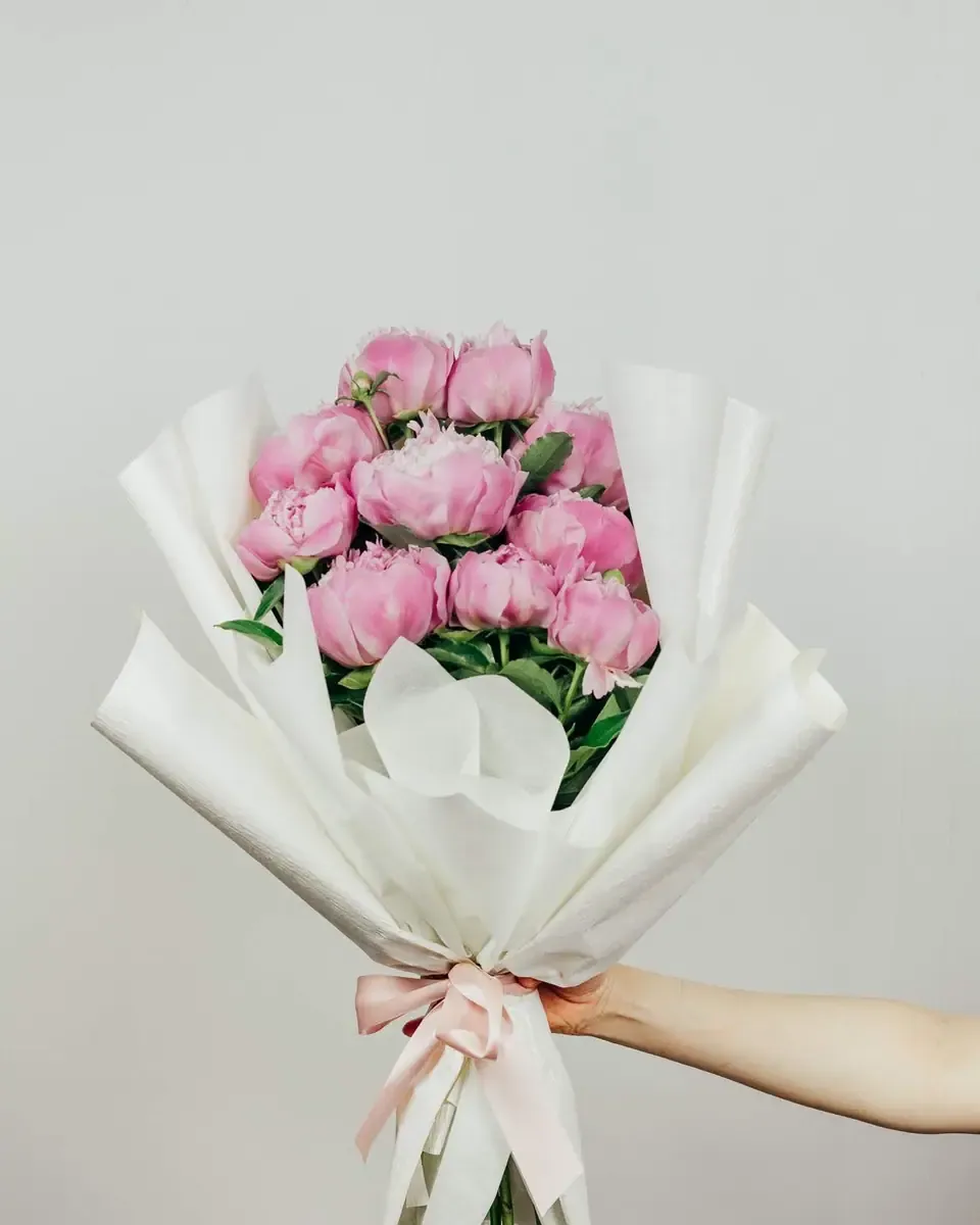 Bó mẫu đơn hồng nhiều bông gói giấy trắng, buộc ruy băng hồng, cầm trước tường xám sáng
