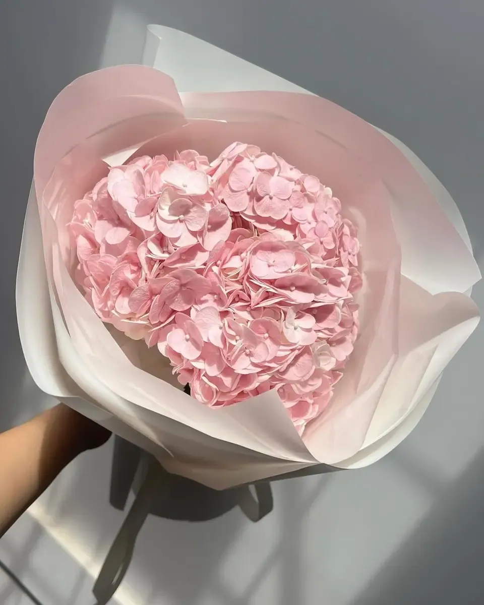 Bó cẩm tú cầu hồng gói giấy hồng nhạt và trắng, ruy băng đen
