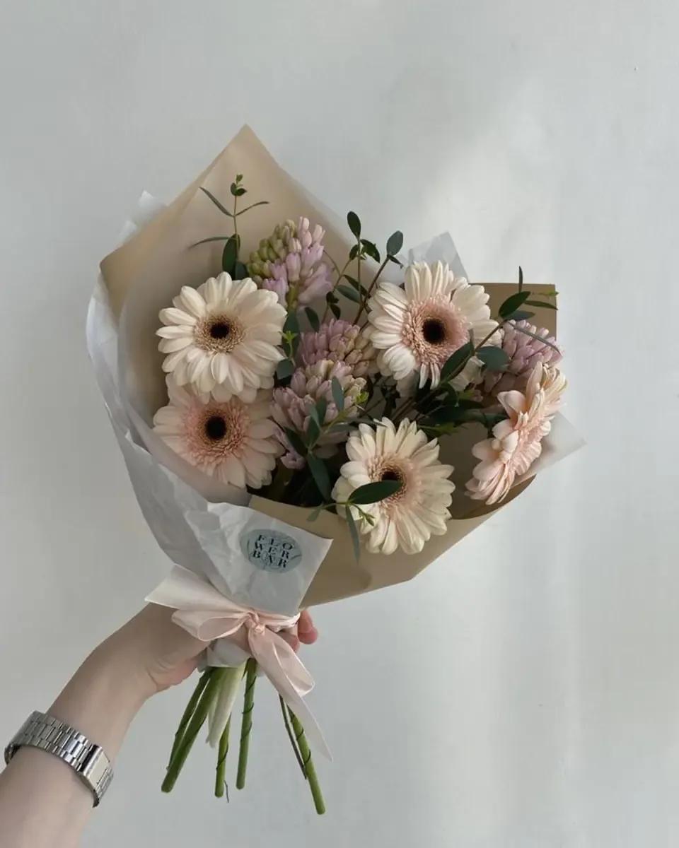 Bó cúc đồng tiền hồng nhạt gói giấy kem, cầm trên tay trước nền sáng