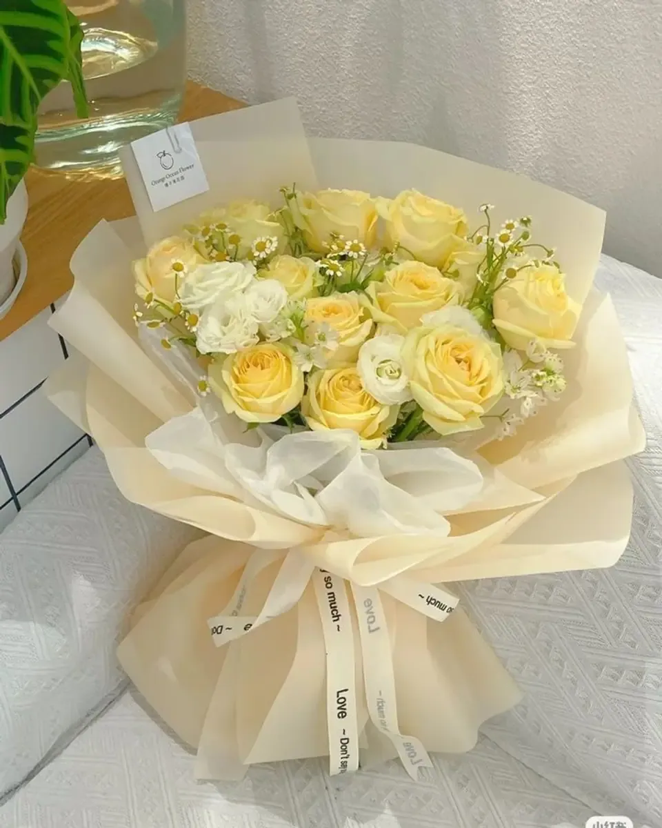 Bó hồng vàng nhạt gói giấy kem nhiều lớp, ruy băng kem