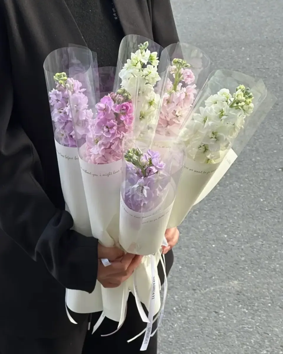 Nhiều bó hoa nhỏ trong túi giấy hình nón trong suốt với hoa tím, trắng và hồng nhạt