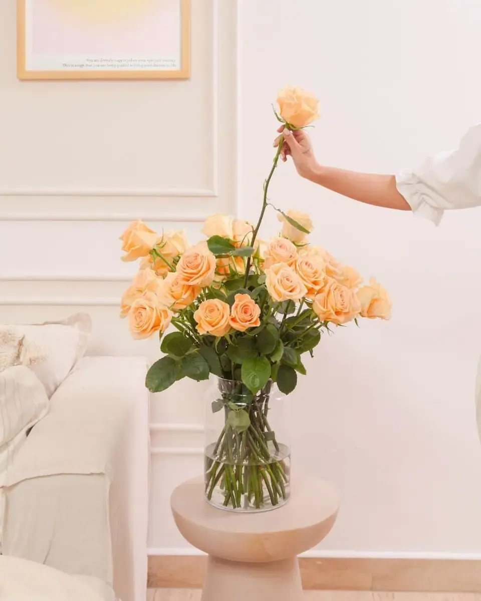 Bình thủy tinh cắm hoa hồng cam đào cuống dài, một người đưa tay chỉnh bông trên cùng
