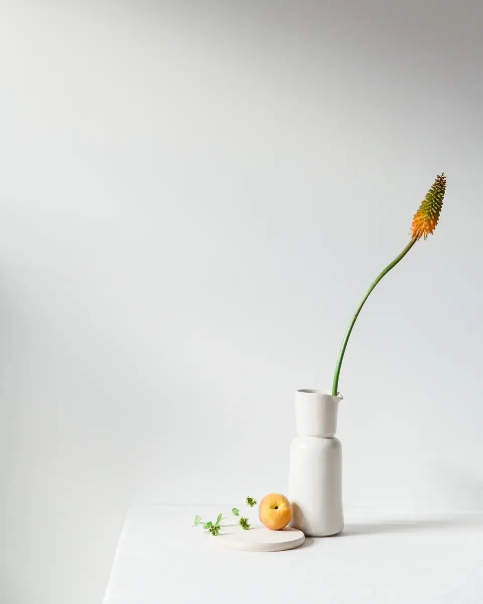 Một cành hoa đỏ cam dáng thon cong nhẹ trong bình gốm trắng cạnh quả mơ nhỏ trên nền sáng