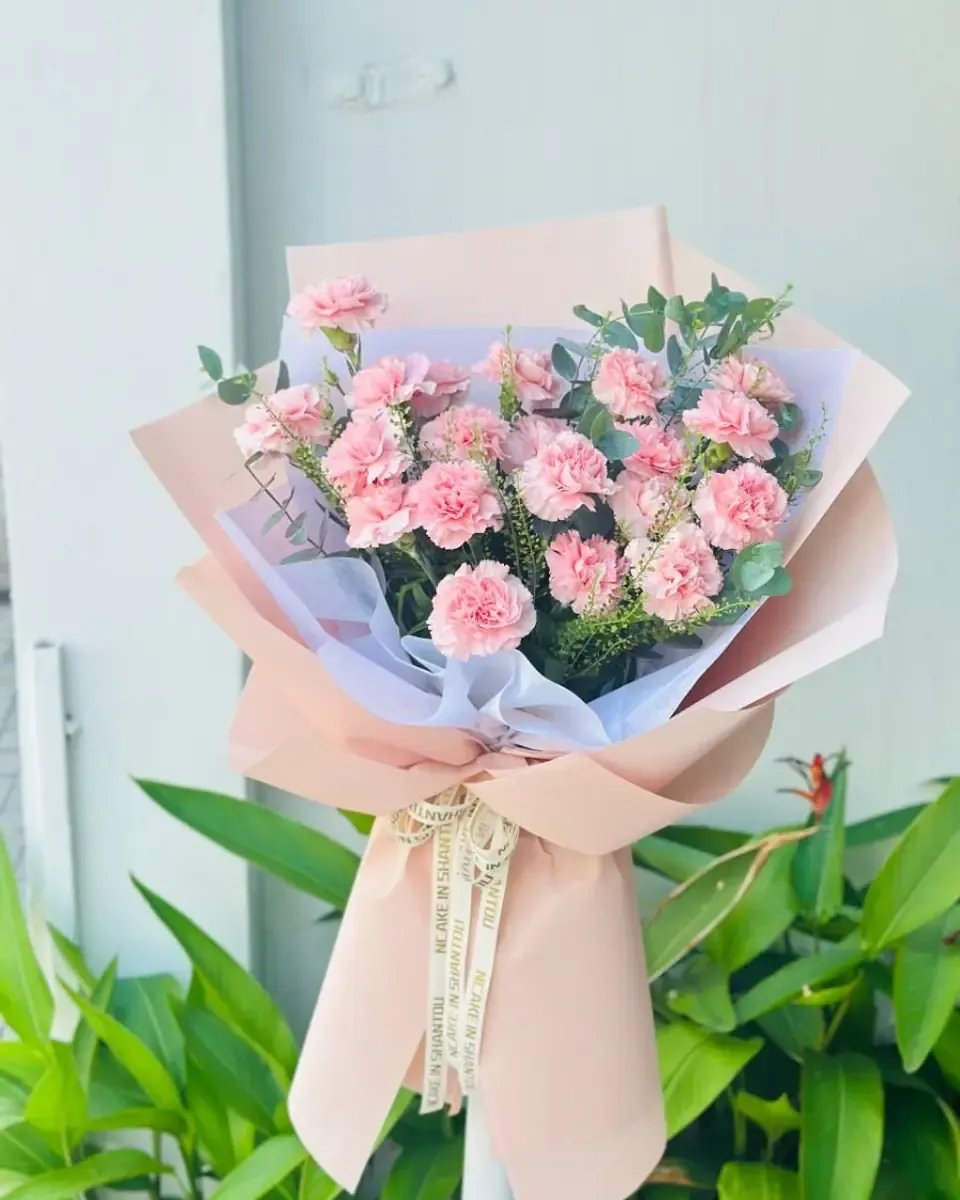 Bó cẩm chướng hồng gói giấy hồng đào, đặt trên giá trắng cạnh cây xanh