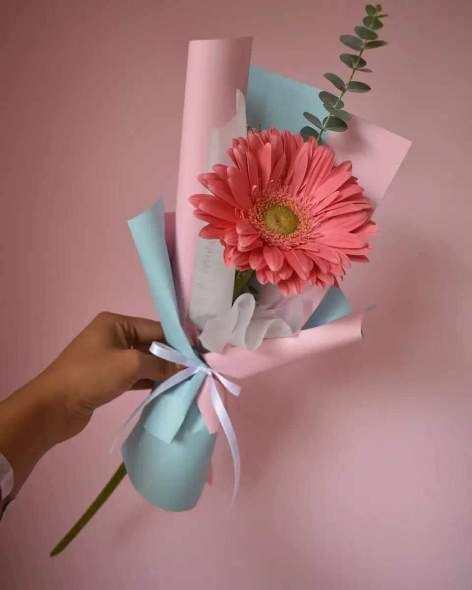 Bó hoa đồng tiền cam hồng gói giấy hồng và xanh dương, được cầm trên tay