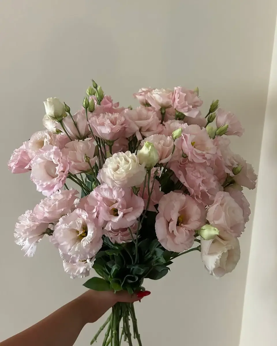 Bó cát tường hồng phấn cầm tay trước tường sáng, giấy gói kem và dây ruy băng