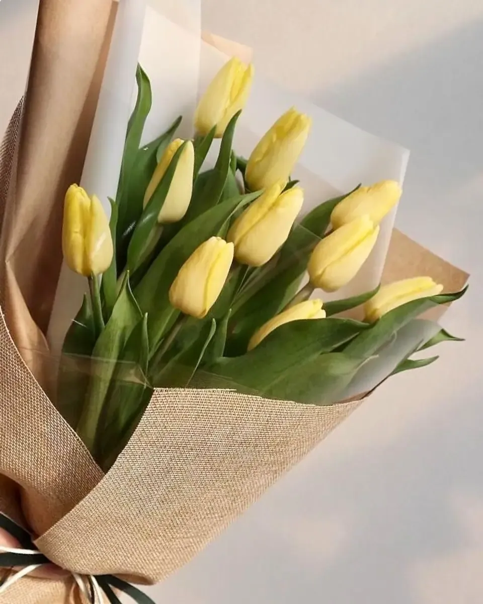 Bó tulip vàng nhạt gói giấy kraft và vải bố trong ánh sáng dịu