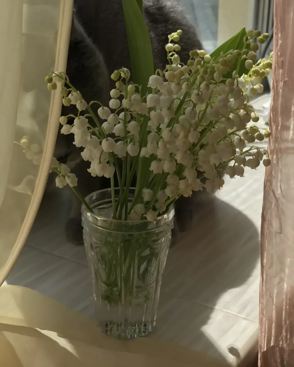 Bình thủy tinh nhỏ cắm linh lan trắng cạnh cửa sổ, nắng chiếu vào cánh hoa