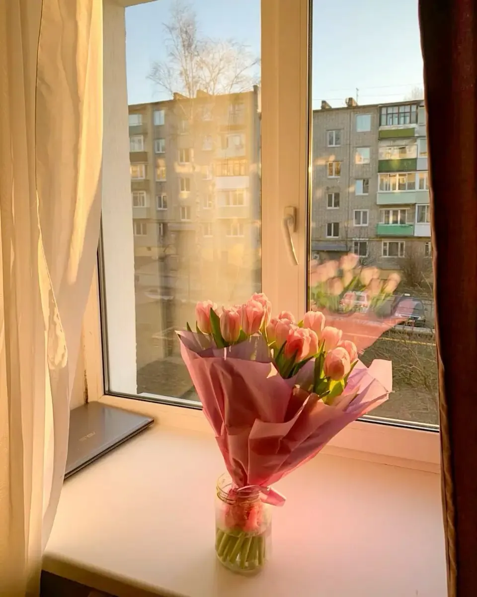 Bó tulip cam hồng gói giấy cắm trong lọ thủy tinh đặt bên cửa sổ nắng
