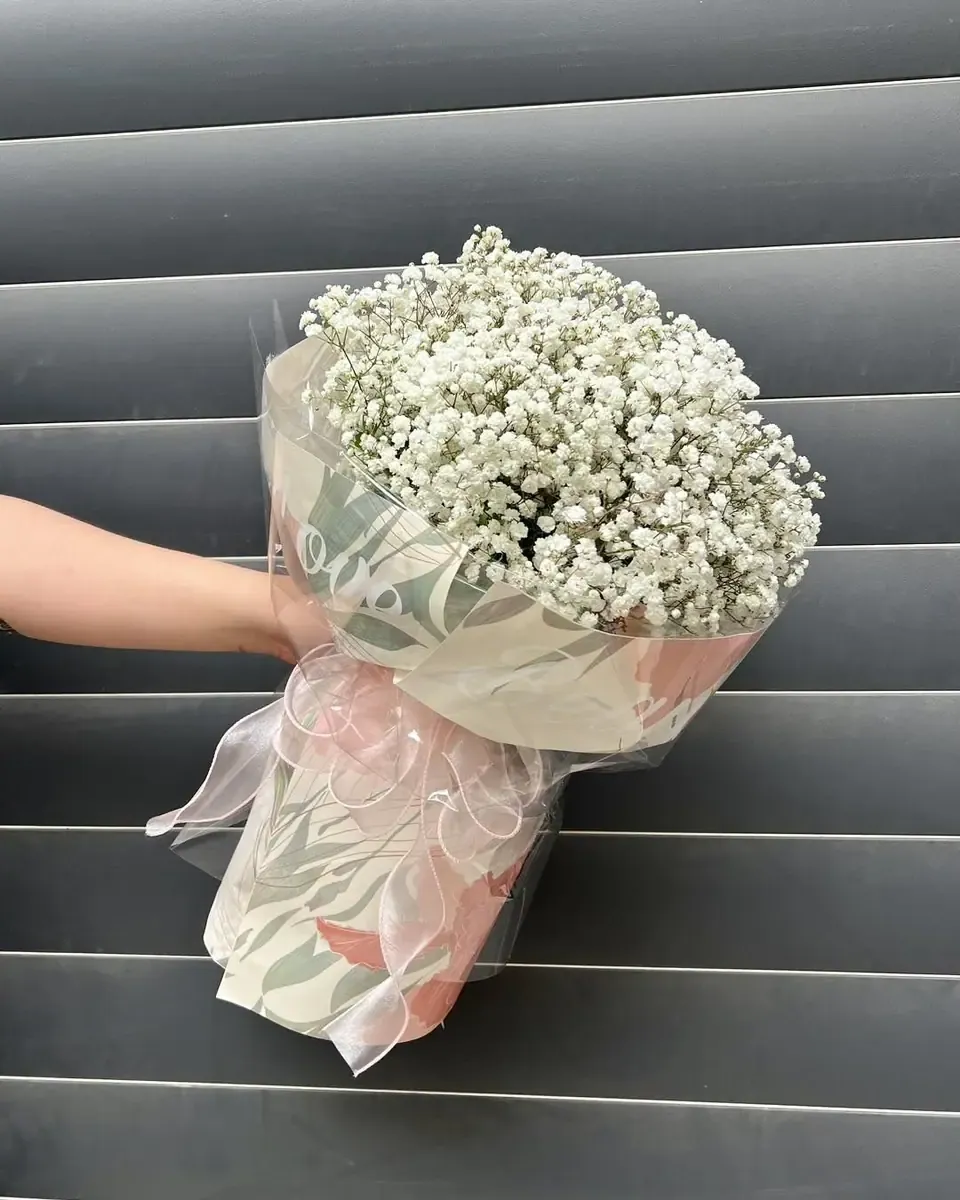 Bó hoa baby trắng gói giấy trong mờ và lá in hoa, một bàn tay cầm trước nền sọc xám