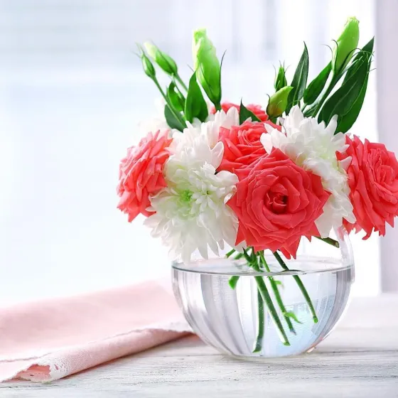 Hoa hồng phấn đang được dưỡng trong bình nước