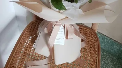 Bó hướng dương cam gói giấy kem, buộc ruy băng hồng phấn, đặt trên ghế mây cạnh cửa sổ