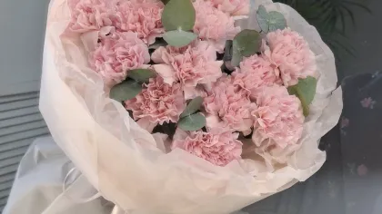 Bó hoa cẩm chướng hồng nhạt gói giấy voan màu kem, buộc dải ruy băng hồng