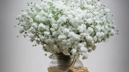 Hũ thủy tinh cắm đầy hoa baby trắng, buộc dây rơm raffia, đặt trên mặt gỗ