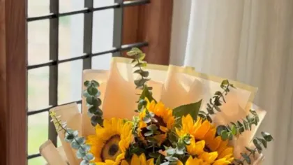 Bó hướng dương vàng cùng lá bạch đàn gói giấy màu be và kraft, buộc ruy băng ren