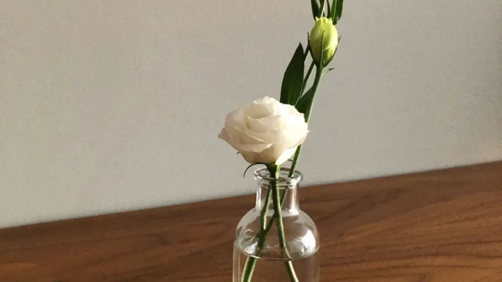 Một cành hoa hồng trắng nhỏ cắm trong chai thủy tinh trong, đặt trên bàn gỗ nâu sẫm