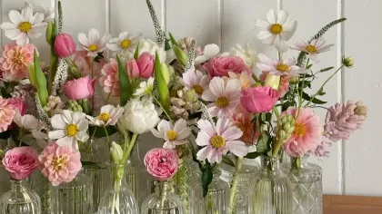Dãy lọ thủy tinh nhỏ cắm tulip hồng, cúc trắng và hoa dại trên kệ gỗ trước nền ván trắng