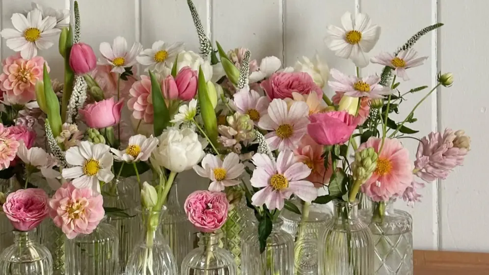 Dãy lọ thủy tinh nhỏ cắm tulip hồng, cúc trắng và hoa dại trên kệ gỗ trước nền ván trắng