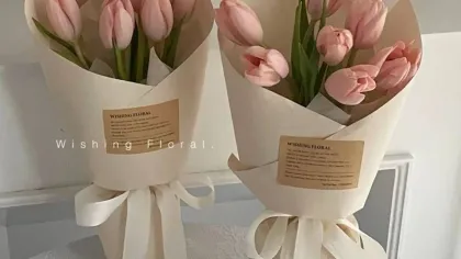 Hai bó tulip hồng gói giấy kem buộc ruy băng đặt cạnh nhau