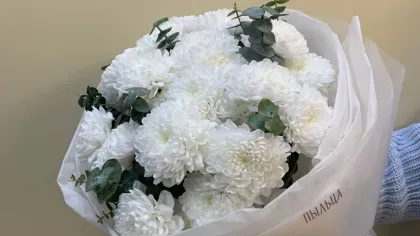 Bó cúc trắng cùng lá bạch đàn gói giấy trắng mờ, một tay cầm trước nền be