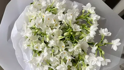 Bó hoa trắng nhỏ nhiều cánh gói giấy trắng, đặt trên đùi người ngồi mặc quần xám