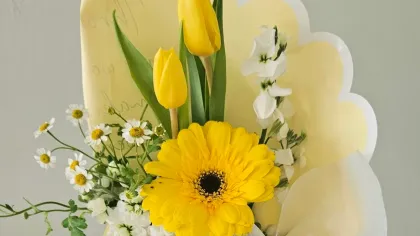 Bó gerbera vàng và tulip vàng gói giấy kem trắng trong vòng tay người cầm
