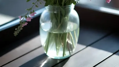 Lọ thủy tinh cắm hoa cúc, hoa hồng hồng và hoa dại đặt trên bệ cửa sổ