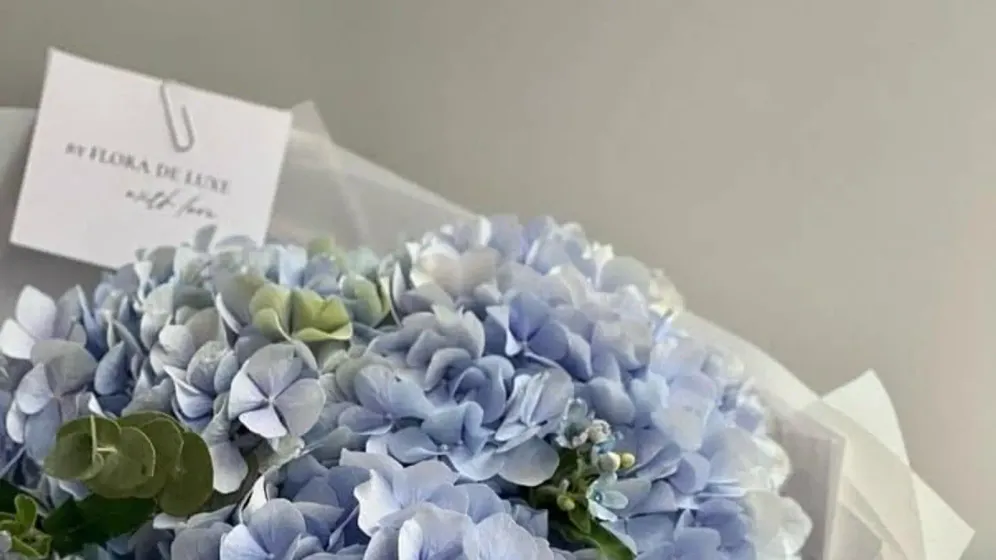 Bó cẩm tú cầu xanh nhạt xen lá bạc hà gói giấy trắng, buộc ruy băng xanh